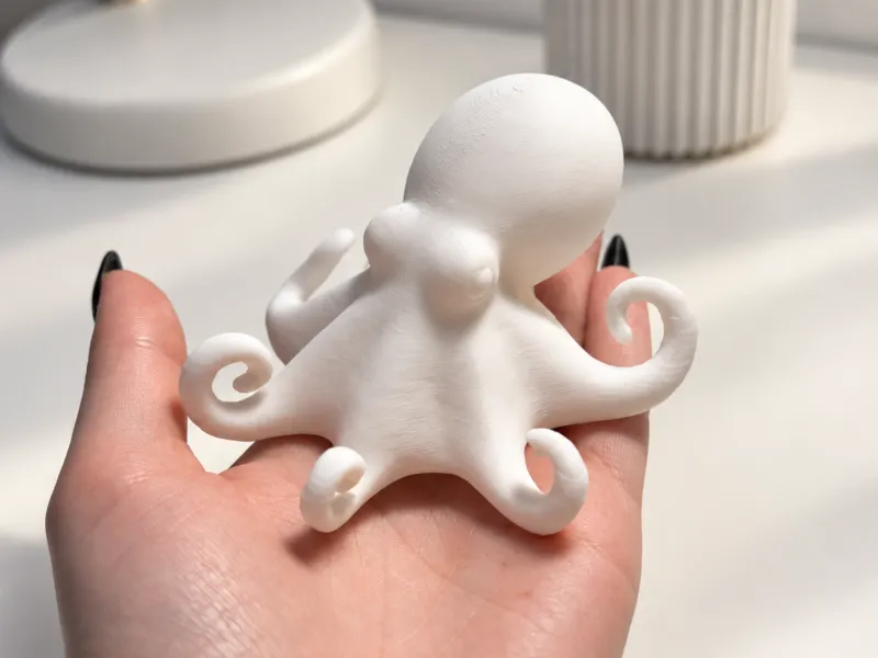  Octopus