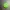 WhatsApp 3B 钥匙扣