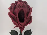 The Yawning Rose -0
