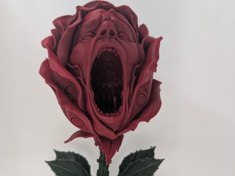 La Rosa Bostezante