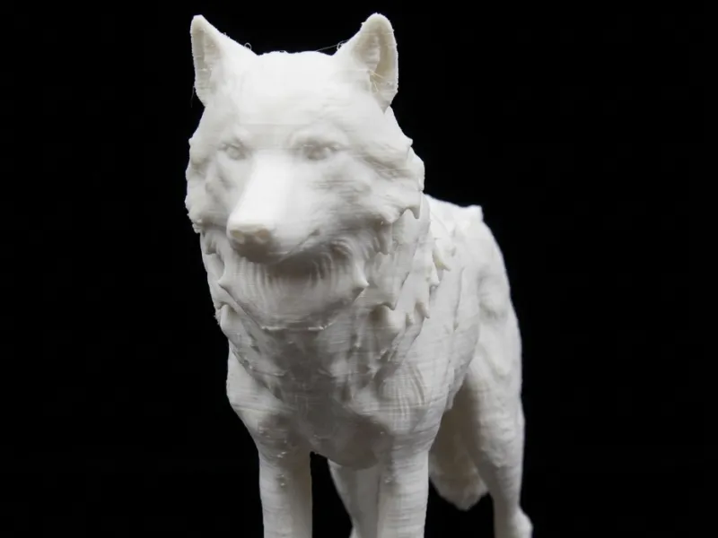 Gray Wolf