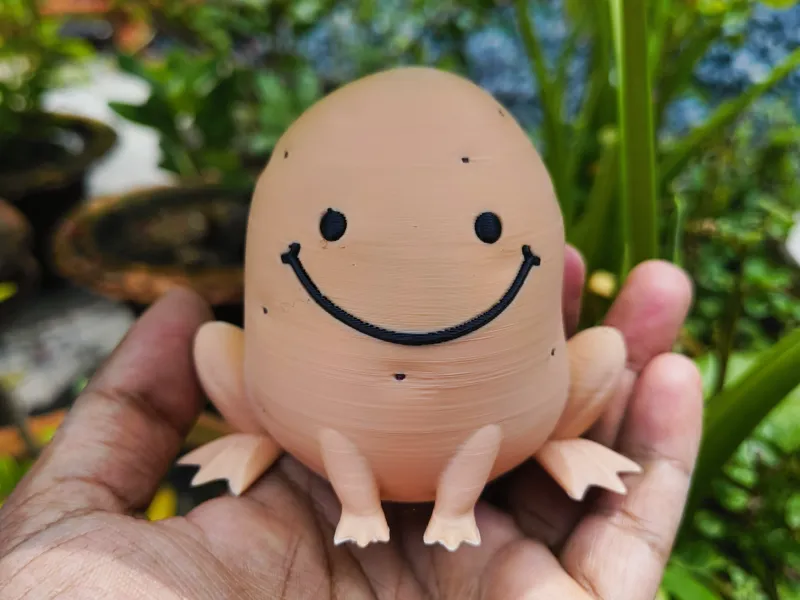 Pota-Sapo