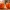 Jack-O-Lantern dekselupdate