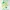 Happy Frog (Free Commercial License)