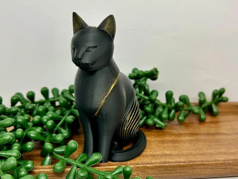 gatos