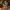 Majestic Happy Dog – Elegant Fantasy Dog Statue