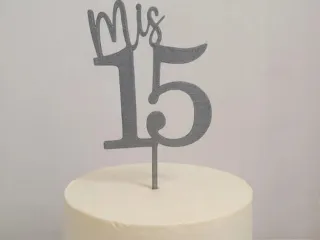 MIS 15