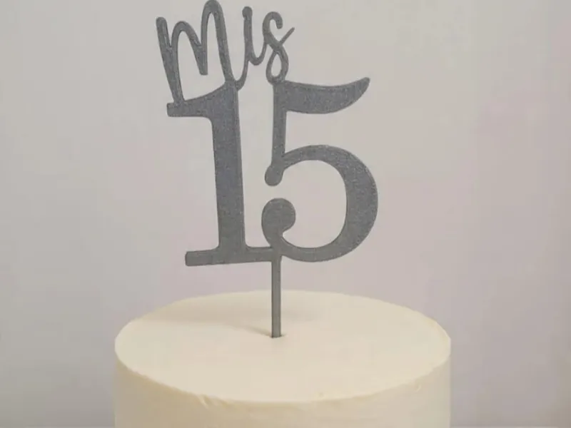 MIS 15