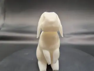Lapin bélier