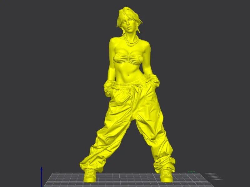 Hip-Hop Girl with Curvy Figure & Parachute Pants