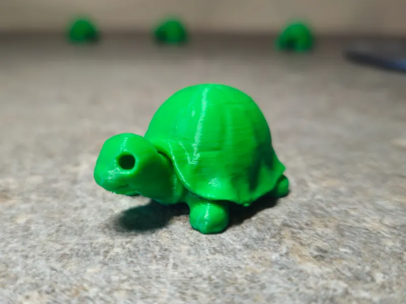 Mini Schildkröte