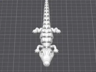 Articulated Alligator