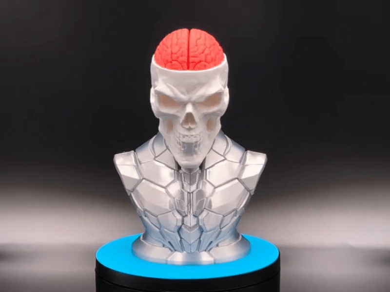 Craniumortis - No AMS / Multi-Part Bust