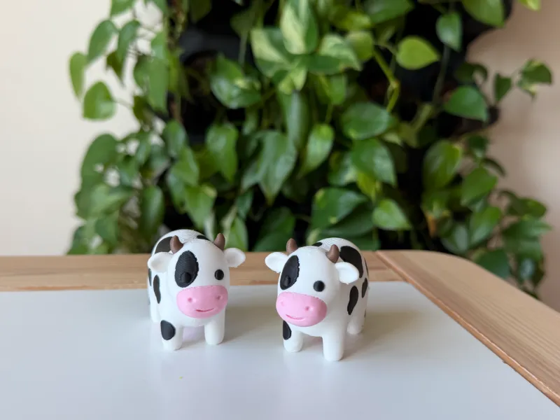 Cow