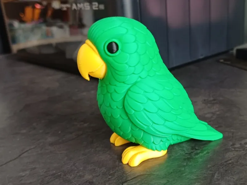 Loro tropical colorido