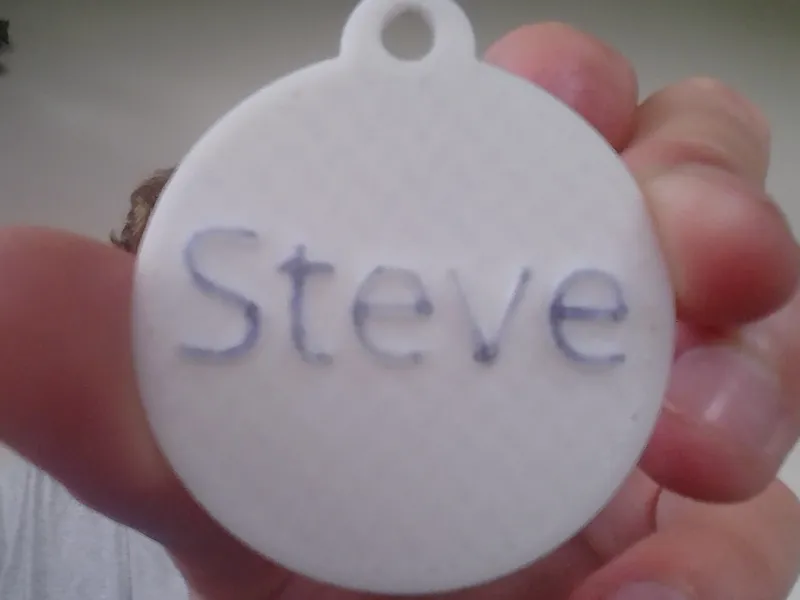 dog tag steve