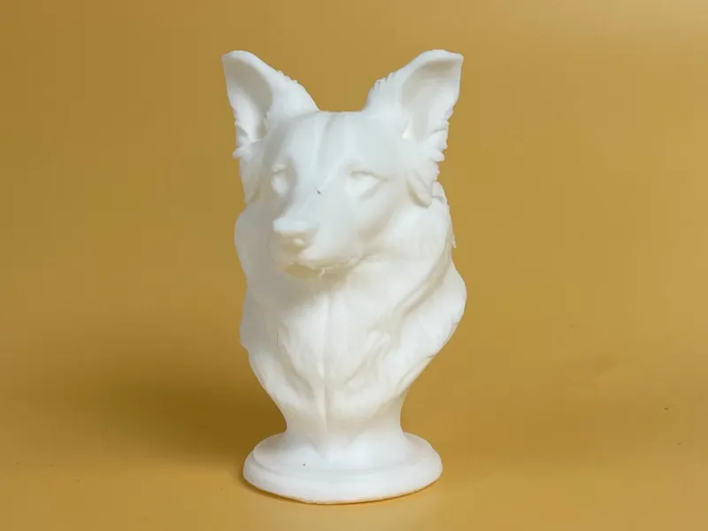 Border Collie Bust