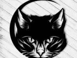 black cat-0