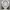 Four-Winged Divine Angel – Premium STL Sculpture