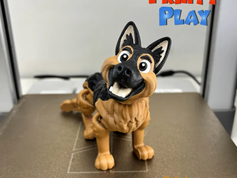 GERMAN SHEPHERD AMS MULTICOLOR