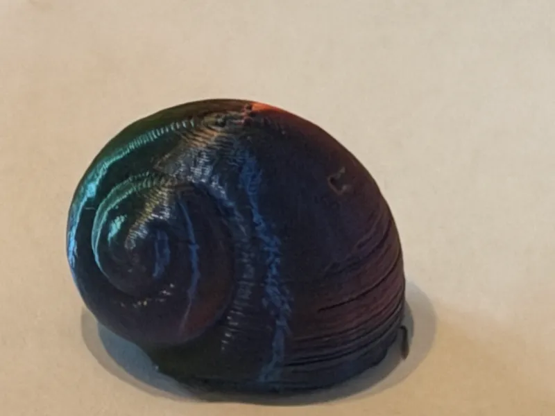 mini snail home