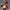 Haruko Tracksuit Edition Anime Figure