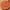Llavero gratuito con emblema de jerbo – Kit de inicio de WILD ARABIA