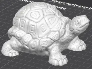 Tortue terrestre