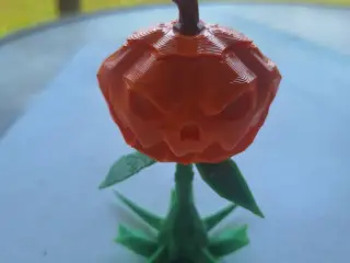 pumpkin soldier