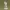 Medic – Team Fortress 2 Character Figurine
