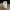 愛らしい子犬のフィギュア