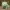 Bulbasaur Planter - Low-poly Edition