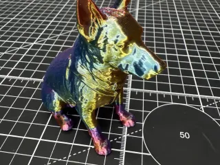 BlueHeeler