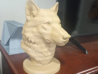 Wolf bust