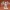 Dragon – Age of Wonders