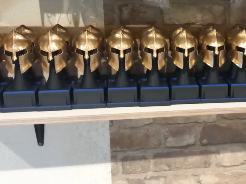 Warrior Pokal