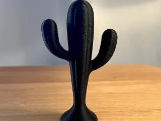Cactus Decor