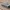 Panther Ausf A tank