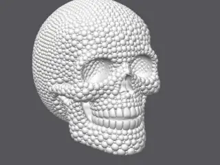 Pearl Skull