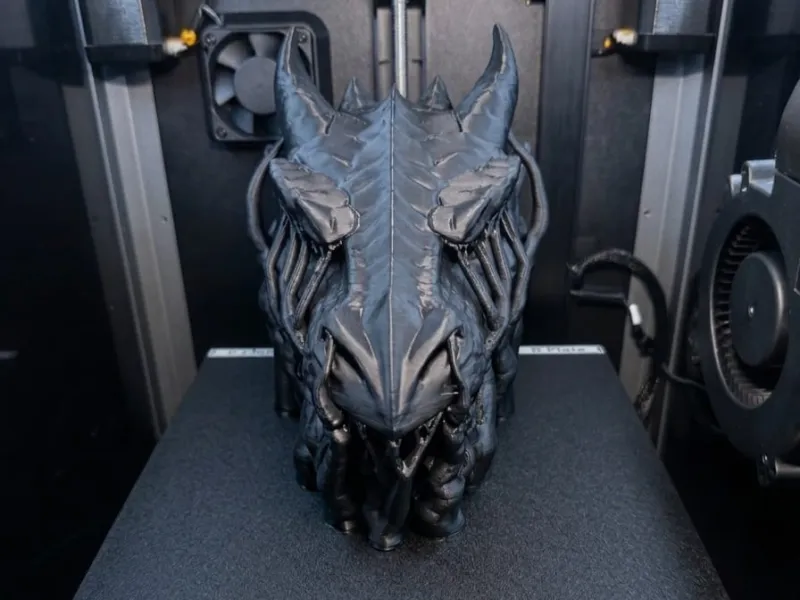 Eigen Ontwerp Drakenkop