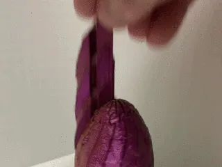 Twisty Fidget Ester Egg