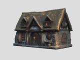viking house-1