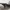 Helicopter