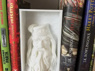 Dumbledor_Book_Nook