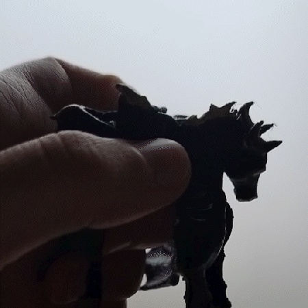 Design Drago Cavallo Flessibile Stampa in Place