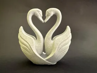 swans