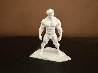 Body Biulder 5