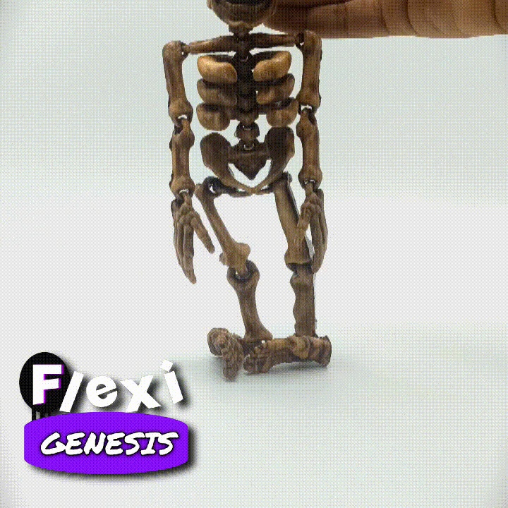 Flexi-Skelett