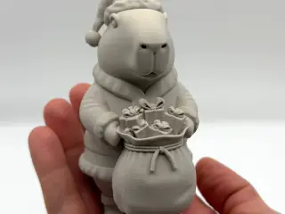 Capybara Santa