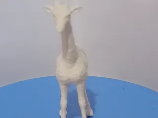 giraffa